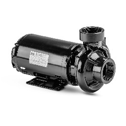 MOTOBOMBA B7NRL 50